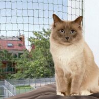Trixie ochranná síť pro kočky - olivová - 8 x 3 m
