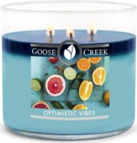 Goose Creek - Pozitivní vibrace Aromatická svíčka ve skle 411 g