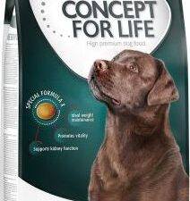 Concept for Life granule + 4 x 7 Barkoo Dental snack zdarma! - Large Senior 12 kg