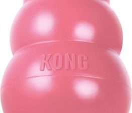 KONG Puppy - M: D 8 x Š 5,5 x V 5,5 cm, modrá