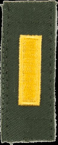 Nášivka: Hodnost US ARMY límcová 2nd Lieutenant olivová | žlutá