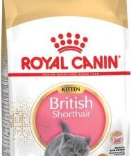 Royal Canin Kitten British Shorthair - 2 kg