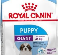 Royal Canin Giant Puppy - Výhodné balení 2 x 15 kg