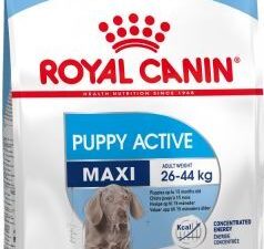 Royal Canin Maxi Puppy Active - Výhodné balení 2 x 15 kg