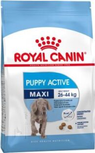 Royal Canin Maxi Puppy Active - 15 kg