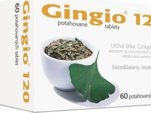 GINGIO 120MG potahované tablety 60