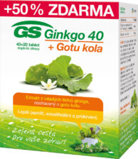 GS Ginkgo 40+Gotu kola tbl.40+20