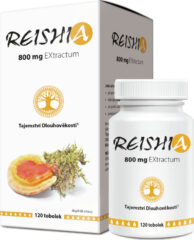 REISHIA 800 mg EXtractum tob.120