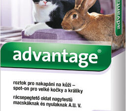 Advantage 80mg pro v.kočky+králíky spot-on 4x0.8ml