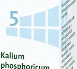 No.5 Kalium phosphoricum DHU D6 80 tablet