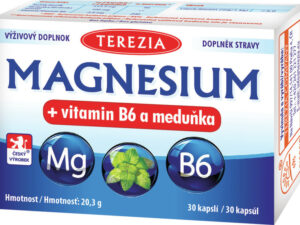 TEREZIA Magnesium+vitamin B6 a meduňka cps.30